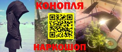 прущие грибы Ярцево
