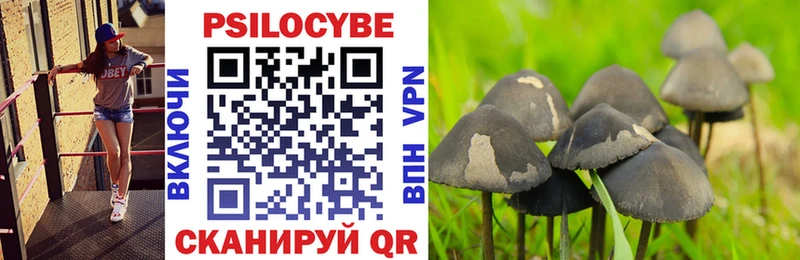 Псилоцибиновые грибы MAGIC MUSHROOMS  Краснотурьинск 