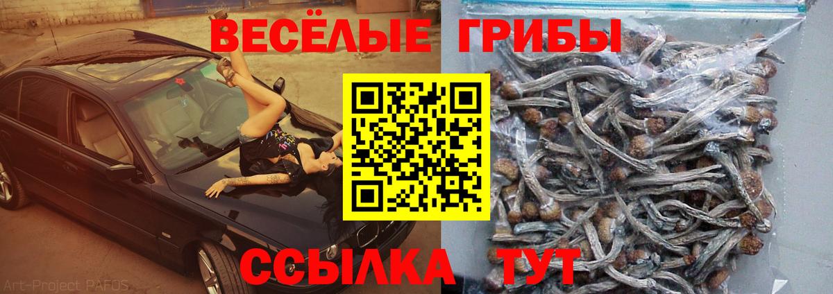 Галлюциногенные грибы мухоморы  продажа наркотиков  Краснотурьинск  Вход с VPN 